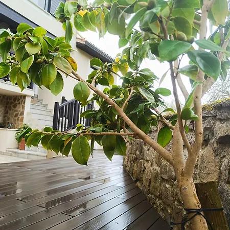 Casaplayadevega Сasa de vacaciones La Vega